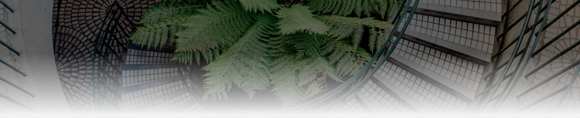 Background image for Hero in Sustainability page